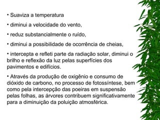 Suaviza a temperatura  diminui a velocidade do vento,  reduz substancialmente o ruído,  diminui a possibilidade de ocorrência de cheias,  intercepta e refleti parte da radiação solar, diminui o brilho e reflexão da luz pelas superfícies dos pavimentos e edifícios.  Através da produção de oxigênio e consumo de dióxido de carbono, no processo de fotossíntese, bem como pela intercepção das poeiras em suspensão pelas folhas, as árvores contribuem significativamente para a diminuição da poluição atmosférica. 
