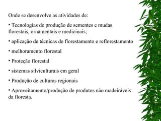 Onde se desenvolve as atividades de: Tecnologias de produção de sementes e mudas florestais, ornamentais e medicinais; aplicação de técnicas de florestamento e reflorestamento melhoramento florestal Proteção florestal sistemas silviculturais em geral Produção de culturas regionais Aproveitamento/produção de produtos não madeiráveis da floresta. 