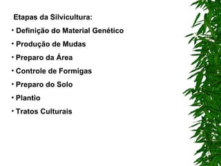 Etapas da Silvicultura: Definição do Material Genético    Produção de Mudas        Preparo da Área      Controle de Formigas       Preparo do Solo     Plantio   Tratos Culturais      