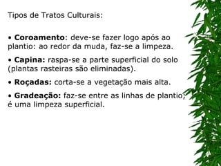 Tipos de Tratos Culturais: •  Coroamento : deve-se fazer logo após ao plantio: ao redor da muda, faz-se a limpeza.  •   Capina:  raspa-se a parte superficial do solo (plantas rasteiras são eliminadas).  •   Roçadas:  corta-se a vegetação mais alta.  •   Gradeação:  faz-se entre as linhas de plantio; é uma limpeza superficial.  