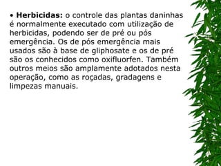 •  Herbicidas:  o controle das plantas daninhas  é normalmente executado com utilização de herbicidas, podendo ser de pré ou pós emergência. Os de pós emergência mais usados são à base de gliphosate e os de pré são os conhecidos como oxifluorfen. Também outros meios são amplamente adotados nesta operação, como as roçadas, gradagens e limpezas manuais.   