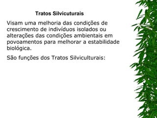 Tratos Silvicuturais                Visam uma melhoria das condições de crescimento de indivíduos isolados ou alterações das condições ambientais em povoamentos para melhorar a estabilidade biológica. São funções dos Tratos Silviculturais:  