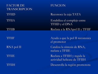 FACTOR DEFACTOR DE
TRANSCRIPCIONTRANSCRIPCION
FUNCIONFUNCION
TFIIDTFIID Reconoce la caja TATAReconoce la caja TATA
TFIIATFIIA Estabiliza el complejo entreEstabiliza el complejo entre
TFIID y el DNATFIID y el DNA
TFIIBTFIIB Recluta a la RNApol II y TFIIFRecluta a la RNApol II y TFIIF
TFIIFTFIIF Ayuda a que la pol II reconozcaAyuda a que la pol II reconozca
el promotorel promotor
RNA pol IIRNA pol II Cataliza la síntesis de RNA,Cataliza la síntesis de RNA,
recluta a TFIIErecluta a TFIIE
TFIIETFIIE Recluta a TFIIH y regula laRecluta a TFIIH y regula la
actividad helicasa de TFIIHactividad helicasa de TFIIH
TFIIHTFIIH Desenrolla la región promotoraDesenrolla la región promotora
 
