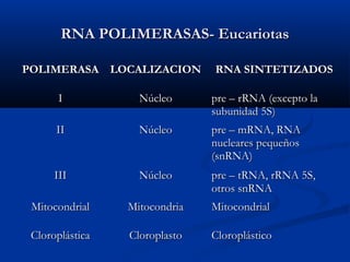 RNA POLIMERASAS- EucariotasRNA POLIMERASAS- Eucariotas
POLIMERASAPOLIMERASA LOCALIZACIONLOCALIZACION RNA SINTETIZADOSRNA SINTETIZADOS
II NúcleoNúcleo pre – rRNA (excepto lapre – rRNA (excepto la
subunidad 5S)subunidad 5S)
IIII NúcleoNúcleo pre – mRNA, RNApre – mRNA, RNA
nucleares pequeñosnucleares pequeños
(snRNA)(snRNA)
IIIIII NúcleoNúcleo pre – tRNA, rRNA 5S,pre – tRNA, rRNA 5S,
otros snRNAotros snRNA
MitocondrialMitocondrial MitocondriaMitocondria MitocondrialMitocondrial
CloroplásticaCloroplástica CloroplastoCloroplasto CloroplásticoCloroplástico
 