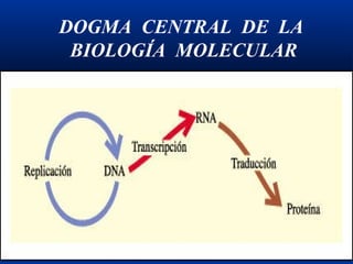 DOGMA CENTRAL DE LA
BIOLOGÍA MOLECULAR
 