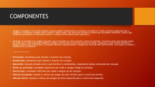 COMPONENTES
• Sangue: O sangue é um tecido líquido e exerce papel fundamental no sistema circulatório. É pela corrente sanguínea que o
oxigênio e nutrientes chegam até as células. Desse modo, ele retira dos tecidos as sobras das atividades celulares, como o gás
carbônico produzido na respiração celular e conduz os hormônios pelo organismo.
• Coração: O coração é um órgão muscular, que se localiza na caixa torácica, entre os pulmões. Funciona como uma bomba dupla,
de modo que o lado esquerdo bombeia o sangue arterial para as diversas partes do corpo, enquanto o lado direito bombeia o
sangue venoso para os pulmões. O coração funciona impulsionando o sangue por meio de dois movimentos: contração ou sístole e
relaxamento ou diástole.
• As principais estruturas do coração são:
• Pericárdio: membrana que reveste o exterior do coração.
• Endocárdio: membrana que reveste o interior do coração.
• Miocárdio: músculo situado entre o pericárdio e o endocárdio, responsável pelas contrações do coração.
• Átrios ou aurículas: cavidades superiores por onde o sangue chega ao coração.
• Ventrículos: cavidades inferiores por onde o sangue sai do coração.
• Válvula tricúspide: impede o refluxo de sangue do átrio direito para o ventrículo direito.
• Válvula mitral: impede o refluxo de sangue do átrio esquerdo para o ventrículo esquerdo.
 
