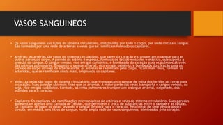 VASOS SANGUINEOS
• Os vasos sanguíneos são tubos do sistema circulatório, distribuídos por todo o corpo, por onde circula o sangue.
São formados por uma rede de artérias e veias que se ramificam formado os capilares.
• Artérias: As artérias são vasos do sistema circulatório, que saem do coração e transportam o sangue para as
outras partes do corpo. A parede da artéria é espessa, formada de tecido muscular e elástico, que suporta a
pressão do sangue. O sangue venoso, rico em gás carbônico, é bombeado do coração para os pulmões através
das artérias pulmonares. Enquanto o sangue arterial, rico em gás oxigênio, é bombeado do coração para os
tecidos do corpo através da artéria aorta. As artérias se ramificam pelo corpo, ficam mais finas, formam as
arteríolas, que se ramificam ainda mais, originando os capilares.
• Veias: As veias são vasos do sistema circulatório, que transportam o sangue de volta dos tecidos do corpo para
o coração. Suas paredes são mais finas que as artérias. A maior parte das veias transporta o sangue venoso, ou
seja, rico em gás carbônico. Contudo, as veias pulmonares transportam o sangue arterial, oxigenado, dos
pulmões para o coração.
• Capilares: Os capilares são ramificações microscópicas de artérias e veias do sistema circulatório. Suas paredes
apresentam apenas uma camada de células, que permitem a troca de substâncias entre o sangue e as células.
Os capilares se ligam às veias, levando o sangue de volta para o coração. Pelo corpo de uma pessoa adulta
circula, em média, seis litros de sangue, numa ampla rede de vasos sanguíneos, bombeados pelo coração.
 