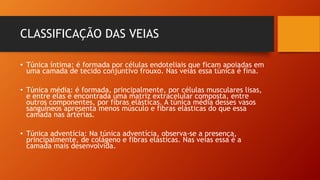 CLASSIFICAÇÃO DAS VEIAS
• Túnica íntima: é formada por células endoteliais que ficam apoiadas em
uma camada de tecido conjuntivo frouxo. Nas veias essa túnica é fina.
• Túnica média: é formada, principalmente, por células musculares lisas,
e entre elas é encontrada uma matriz extracelular composta, entre
outros componentes, por fibras elásticas. A túnica média desses vasos
sanguíneos apresenta menos músculo e fibras elásticas do que essa
camada nas artérias.
• Túnica adventícia: Na túnica adventícia, observa-se a presença,
principalmente, de colágeno e fibras elásticas. Nas veias essa é a
camada mais desenvolvida.
 