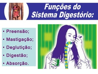 • Preensão;
• Mastigação;
• Deglutição;
• Digestão;
• Absorção.
 