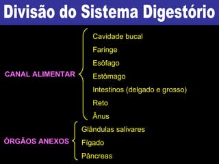 CANAL ALIMENTAR
ÓRGÃOS ANEXOS
Cavidade bucal
Faringe
Esôfago
Estômago
Intestinos (delgado e grosso)
Reto
Ânus
Glândulas salivares
Fígado
Pâncreas
 