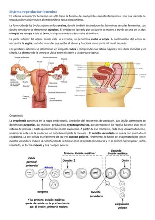 Sistema reproductor femenino
El sistema reproductor femenino no sólo tiene la función de producir las gametas femeninas, sino que permite la
fecundación y aloja y nutre al embrión/feto hasta el nacimiento.
La formación de los óvulos ocurre en los ovarios, donde también se producen las hormonas sexuales femeninas. Los
óvulos inmaduros se denominan ovocitos. El ovocito es liberado por un ovario se mueve a través de una de las dos
trompas de Falopio hacia el útero, el órgano donde se desarrolla el embrión.
La parte inferior del útero, donde éste se estrecha, se denomina cuello o cérvix. A continuación del cérvix se
encuentra la vagina, un tubo muscular que recibe el sémen y funciona como parte del canal de parto.
Los genitales externos se denominan en conjunto vulva y comprenden los labios mayores, los labios menores y el
clítoris. La abertura de la uretra se ubica entre el clítoris y la abertura vaginal.

Ovogénesis
La ovogénesis comienza en la etapa embrionaria, alrededor del tercer mes de gestación. Las células germinales se
denominan ovogonias. La meiosis I produce los ovocitos primarios, que permanecen en reposo durante años en el
estadio de profase I, hasta que comience el ciclo ovulatorio. A partir de ese momento, cada mes aproximadamente,
unas horas antes de la ovulación un ovocito completa la meiosis I. El ovocito secundario se queda con casi todo el
citoplasma. La otra célula es el primero de los tres cuerpos polares. Finalmente, la fusión del espermatozoide con el
ovocito secundario induce la culminación de la meiosis II en el ovocito secundario y en el primer cuerpo polar. Como
resultado, se forma el óvulo y tres cuerpos polares.

 