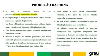 PRODUÇÃO DA URINA
➢ A urina é produzida através de três
processos: filtração, reabsorção e secreção.
• O sangue chega ao rim pela artéria renal e entra sob alta
pressão nos capilares do glomérulo.
• Isso força a filtração no glomérulo, com a saída de líquido
para a cápsula renal, formando o filtrado glomerular.
• Esse filtrado contém água, ureia, vitaminas, aminoácidos,
ácido úrico, sais, etc.
• Durante o trajeto do filtrado glomerular pelo túbulo
contorcido proximal, ocorre reabsorção de substâncias úteis
pelos capilares do néfron. Ao longo desse trajeto mais de
99% da água filtrada no glomérulo é reabsorvida.
• Desse modo, a água, glicose, aminoácidos,
vitaminas e boa parte dos sais do filtrado
glomerular retornam ao sangue.
• Na alça néfrica, ocorre a reabsorção da água do
filtrado glomerular para os capilares.
• No túbulo contorcido distal, as excretas
indesejadas dos capilares sanguíneos são
removidas e lançadas na urina. São exemplos
dessas excretas o ácido úrico e a amônia. Por fim,
a urina é liberada no ducto coletor e encaminhada
para os ureteres.
 
