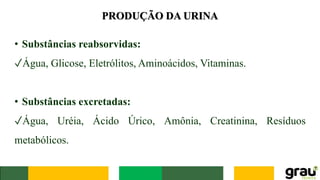 PRODUÇÃO DA URINA
• Substâncias reabsorvidas:
✓Água, Glicose, Eletrólitos, Aminoácidos, Vitaminas.
• Substâncias excretadas:
✓Água, Uréia, Ácido Úrico, Amônia, Creatinina, Resíduos
metabólicos.
 