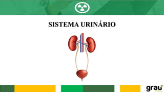 SISTEMA URINÁRIO
 