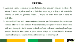 URETRA
➢ A uretra é o canal excretor da bexiga ela transporta a urina da bexiga até o exterior do
corpo. A uretra estende-se desde o orifício interno da uretra na bexiga até ao orifício
externo da uretra da genitália externa. O trajeto da uretra varia com o sexo do
indivíduo.
➢ A uretra feminina é muito pequena (4 centímetros) o que é um fator predisponente para
contrair infeções do trato urinário. A uretra feminina passa primeiro através do assoalho
pélvico e depois através do espaço perineal profundo onde está rodeada pelo esfíncter
externo da uretra. Finalmente, a uretra abre-se através do orifício externo da uretra
encontrado entre os pequenos lábios, anteriormente à abertura vaginal.
 