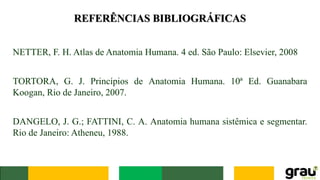 REFERÊNCIAS BIBLIOGRÁFICAS
NETTER, F. H. Atlas de Anatomia Humana. 4 ed. São Paulo: Elsevier, 2008
TORTORA, G. J. Princípios de Anatomia Humana. 10ª Ed. Guanabara
Koogan, Rio de Janeiro, 2007.
DANGELO, J. G.; FATTINI, C. A. Anatomia humana sistêmica e segmentar.
Rio de Janeiro: Atheneu, 1988.
 