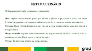 SISTEMA URINÁRIO
O sistema urinário inclui os seguintes componentes:
Rins: órgãos retroperitoneais pares que filtram o plasma e produzem a urina; eles estão
localizados superiormente na parede abdominal posterior, exatamente anterior aos músculos.
Ureteres: fluem retroperitonealmente dos rins até a pelve e transportam a urina dos rins até a
bexiga urinaria.
Bexiga urinária: repousa subperitonealmente na região anterior da pelve, estoca a urina e,
quando apropriado, libera a urina por meio da uretra.
Uretra: flui da bexiga urinaria até o meio externo.
 