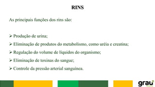 RINS
As principais funções dos rins são:
➢ Produção de urina;
➢ Eliminação de produtos do metabolismo, como uréia e creatina;
➢ Regulação do volume de líquidos do organismo;
➢ Eliminação de toxinas do sangue;
➢ Controle da pressão arterial sanguínea.
 