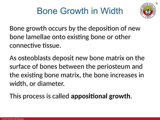 4-Skeletal-System-Bones-and-Joints-Powet | PPT