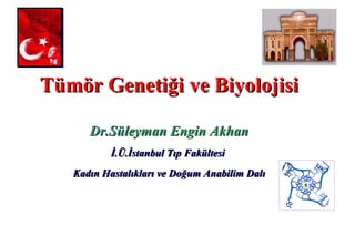 Tümör Genetiği ve Biyolojisi

      Dr.Süleyman Engin Akhan
           İ.Ü.İstanbul Tıp Fakültesi
   Kadın Hastalıkları ve Doğum Anabilim Dalı
 