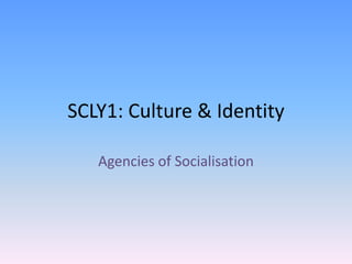 SCLY1: Culture & Identity Agencies of Socialisation 