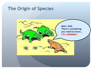 Mom, Dad… There’s something  you need to know… I’m a MAMMAL! The Origin of Species 