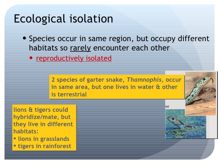 Speciation