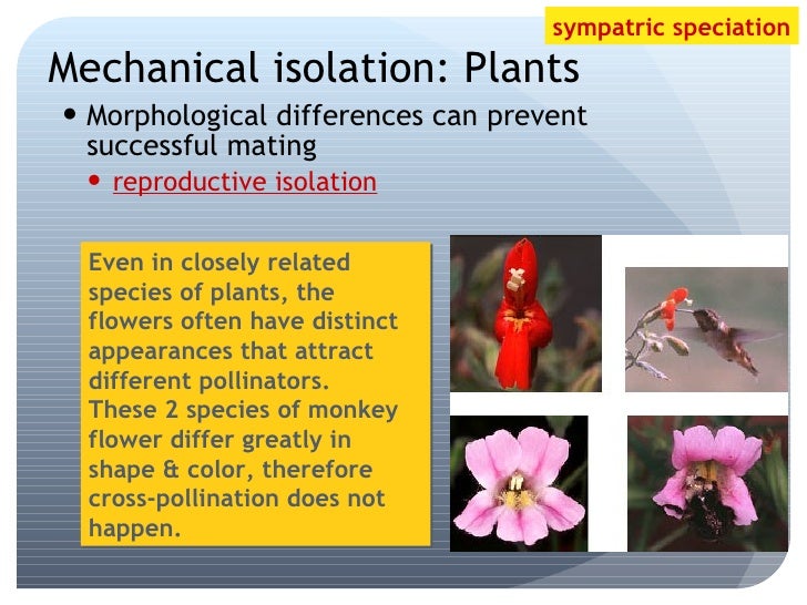 Speciation