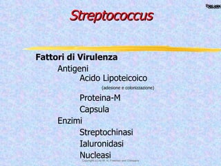 Streptococcus Fattori di Virulenza Antigeni Acido Lipoteicoico  (adesione e colonizzazione) Proteina-M Capsula Enzimi Streptochinasi Ialuronidasi Nucleasi 
