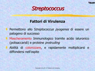 Streptococcus Permettono allo S treptococcus pyogenes  di essere un patogeno di successo Mascheramento  Immunologico tramite acido ialuronico (polisaccaridi) e proteine  protruding Abilità di  colonizzare , e rapidamente moltiplicarsi e diffondersi nell’ospite Fattori di Virulenza 