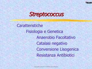 Streptococcus Caratteristiche Fisiologia e Genetica   Anaerobio Facoltativo   Catalasi negativo   Conversione Lisogenica   Resistanza Antibiotici 