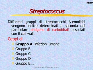 Streptococcus Differenti gruppi di streptococchi   -emolitici vengono inoltre determinati a seconda del particolare  antigene di carboidrati  associati con il cell wall. Ceppi di  Gruppo A  infezioni umane  Gruppo B Gruppo C Gruppo D Gruppo E….. 