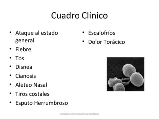 4.  Streptococcus pneumoniae