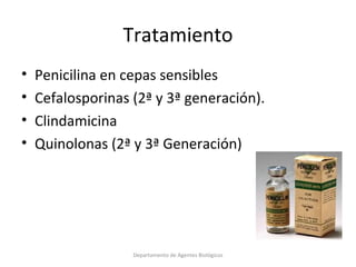 4.  Streptococcus pneumoniae