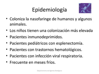 4.  Streptococcus pneumoniae