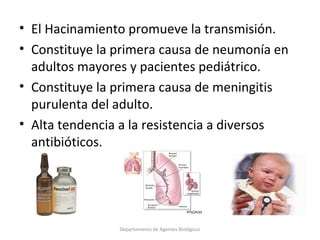 4.  Streptococcus pneumoniae