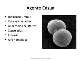 4.  Streptococcus pneumoniae