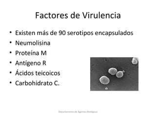 4.  Streptococcus pneumoniae