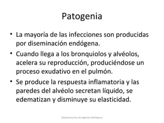 4.  Streptococcus pneumoniae