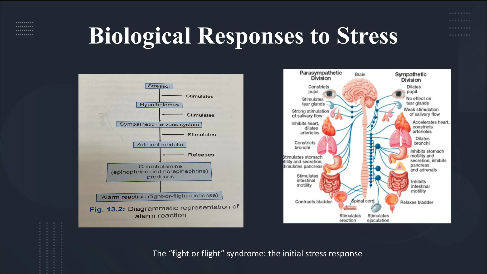 College Students’ Perceptions Of Stress And Coping Mechanisms – GQWTJ