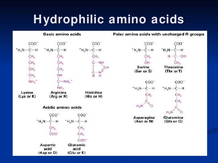 4. suppl. membrane transport 2