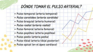 Dónde tomar el pulso arterial?
Pulso temporal (arteria temporal)
Pulso carotideo (arteria carótida)
Pulso braquial (arteri...