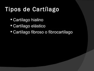 Tipos de Cartílago Cartílago hialino Cartílago elástico Cartílago fibroso o fibrocartílago 