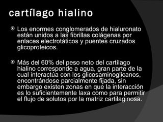 cartílago hialino Los enormes conglomerados de hialuronato están unidos a las fibrillas colágenas por enlaces electrotáticos y puentes cruzados glicoproteicos. Más del 60% del peso neto del cartílago hialino corresponde a agua, gran parte de la cual interactúa con los glicosaminoglicanos, encontrándose parcialmente fijada, sin embargo existen zonas en que la interacción es lo suficientemente laxa como para permitir el flujo de solutos por la matriz cartilaginosa.  