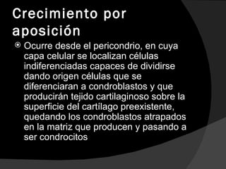 Crecimiento por aposición Ocurre desde el pericondrio, en cuya capa celular se localizan células indiferenciadas capaces de dividirse dando origen células que se diferenciaran a condroblastos y que producirán tejido cartilaginoso sobre la superficie del cartílago preexistente, quedando los condroblastos atrapados en la matriz que producen y pasando a ser condrocitos  