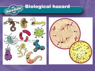 Biological hazard
 
