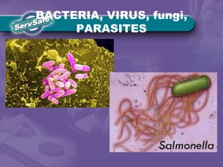 BACTERIA, VIRUS, fungi,
PARASITES
 