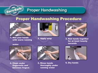 Proper Handwashing Procedure
1. Wet your hands
with warm running
water
2. Apply soap 3. Rub hands together
for at least twenty
seconds
4. Clean under
fingernails and
between fingers
5. Rinse hands
thoroughly under
running water
6. Dry hands
 