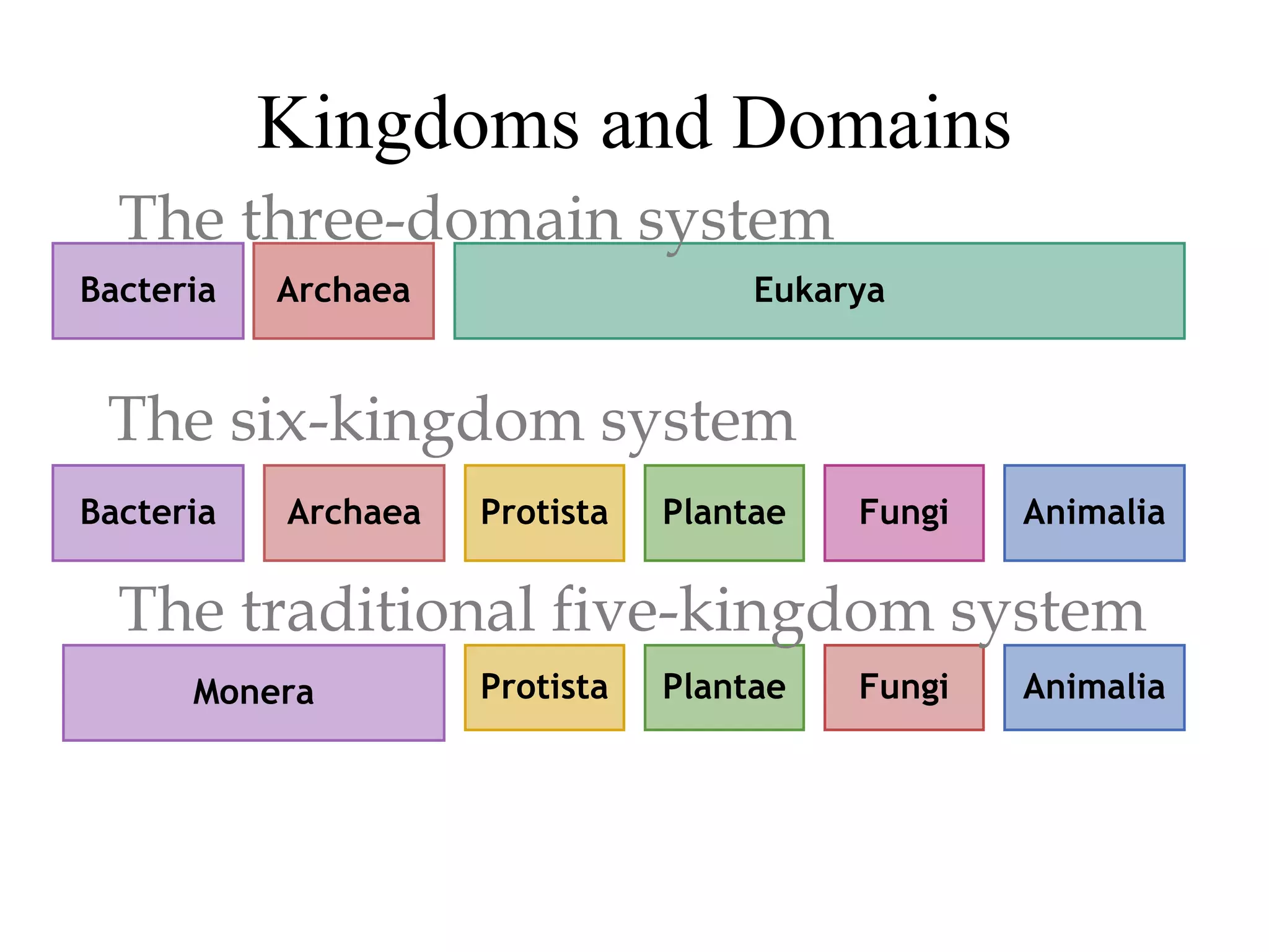 The6 Kingdoms.ClassificationNotes#4 | PPT