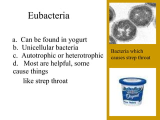 The6 Kingdoms.ClassificationNotes#4
